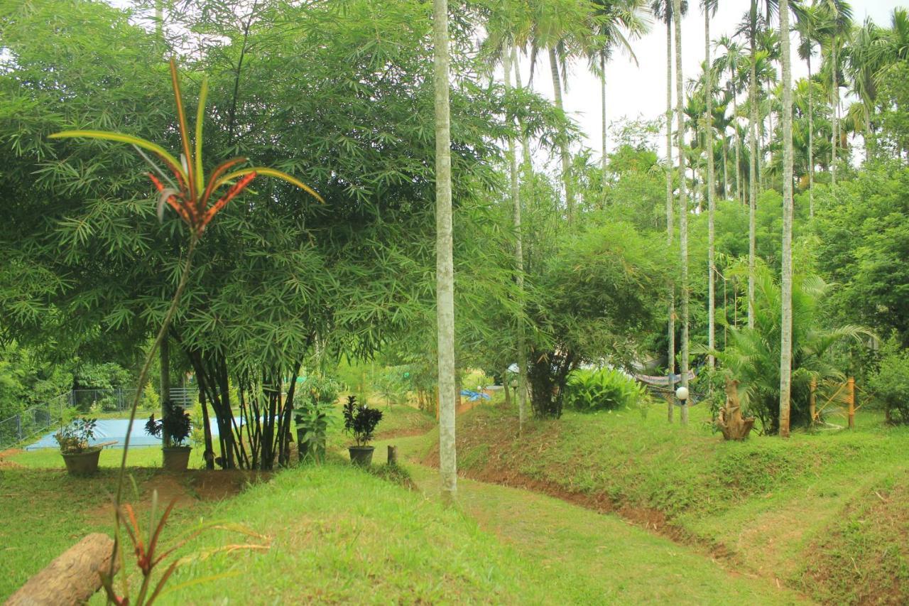Vintage Garden Resort Sultan Bathery Bagian luar foto
