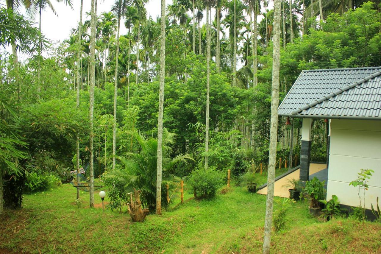 Vintage Garden Resort Sultan Bathery Bagian luar foto