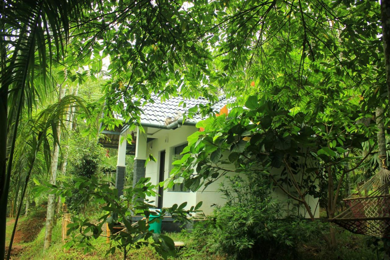 Vintage Garden Resort Sultan Bathery Bagian luar foto